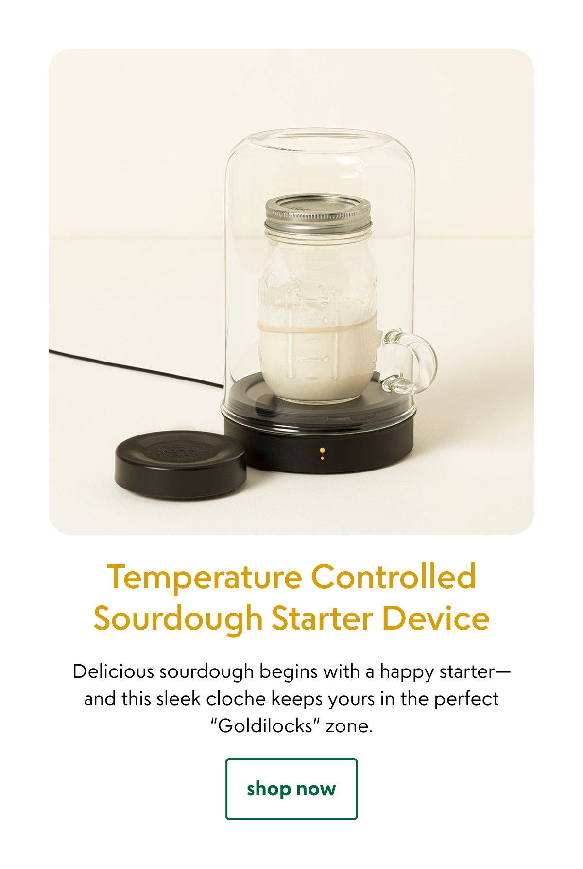 temperature-controlled-sourdough-starter-device