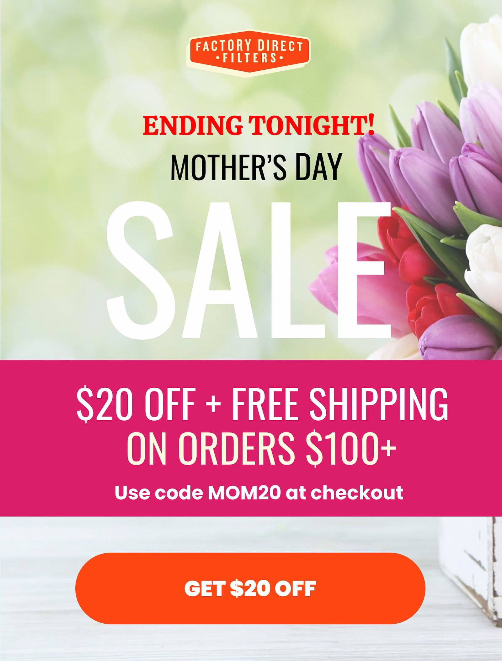 $20 OFF Orders $100+ with code MOM20