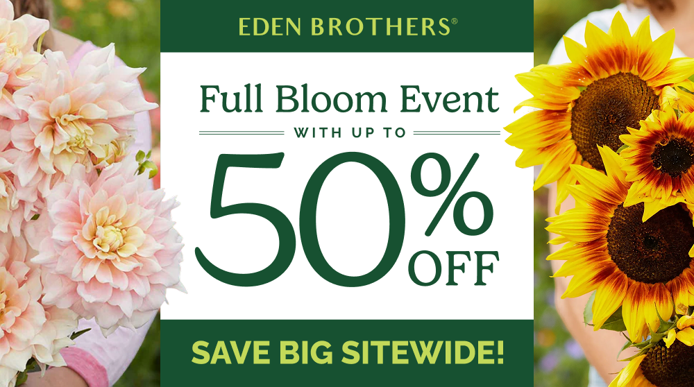 Eden Brothers Full Bloom Event with up to 50% off; Save Big Sitewide