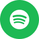 Spotify icon
