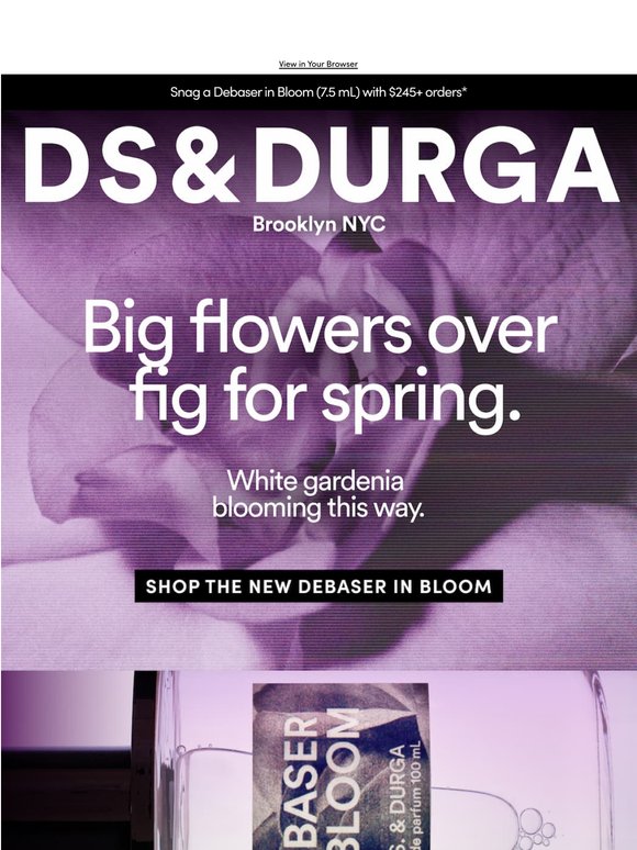 Blooming this Spring