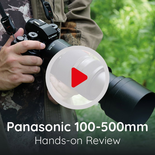 Panasonic 100-500mm Video