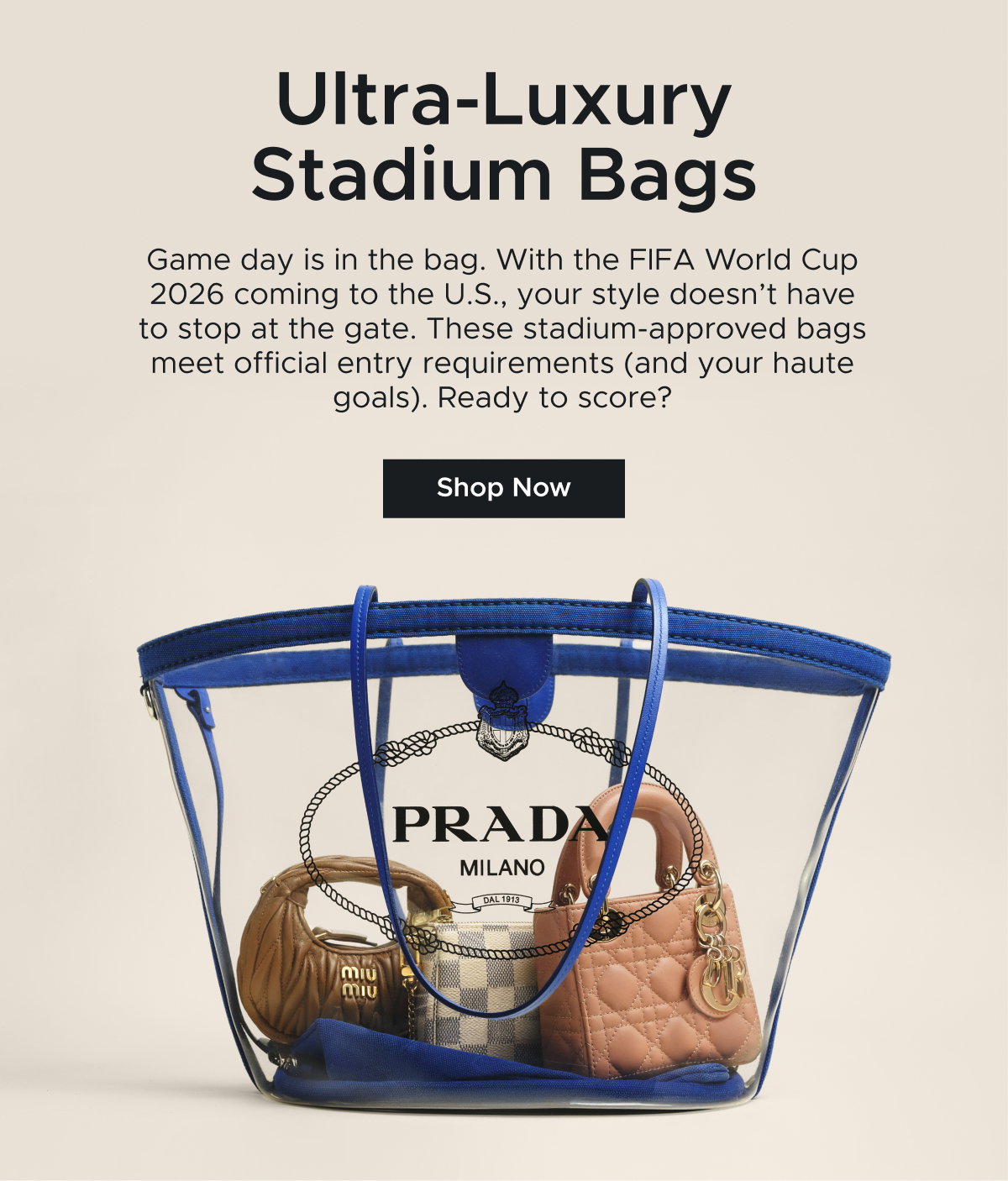 Stadium-Approved Bags