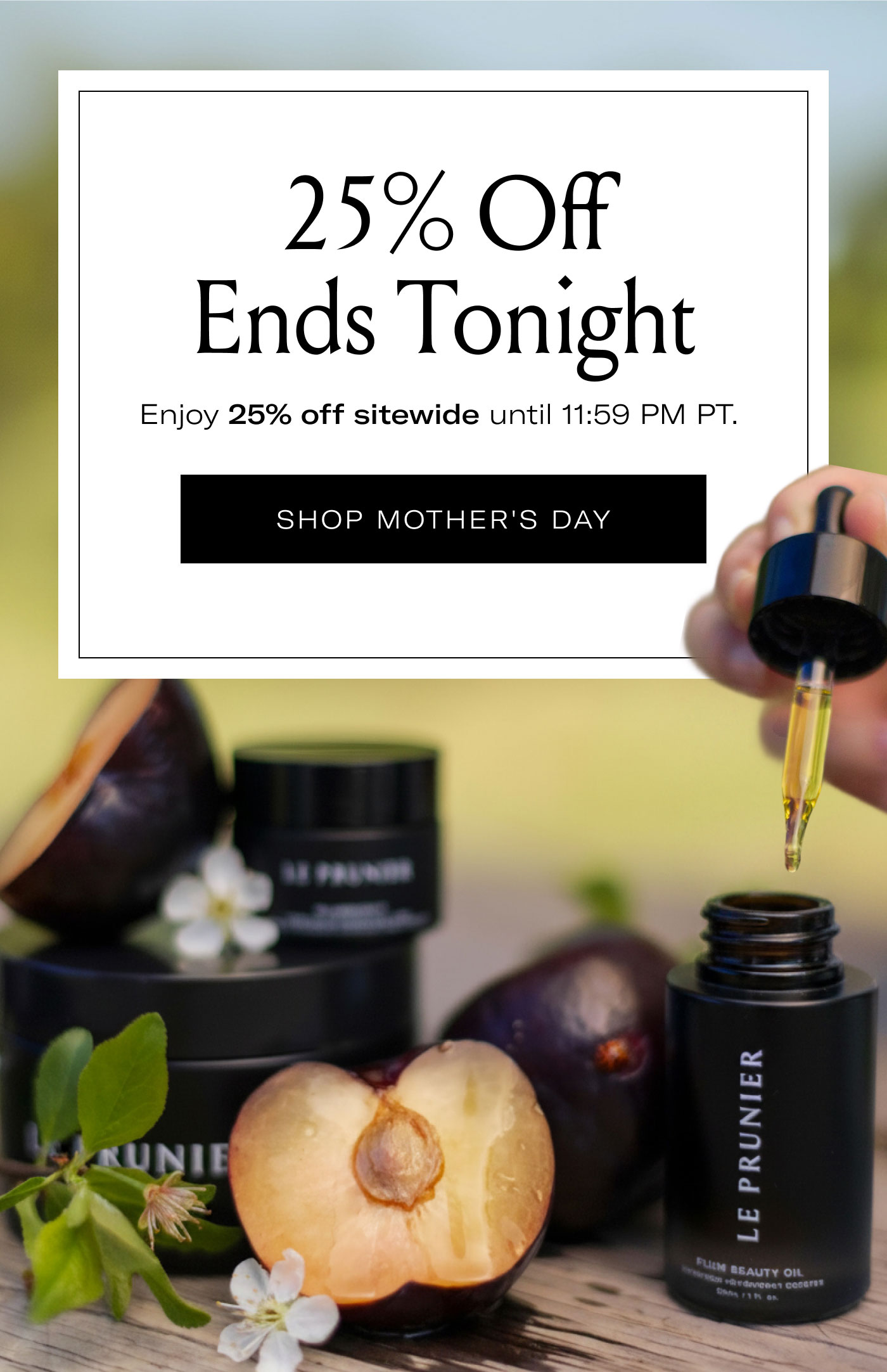 25% Off Ends Tonight  Enjoy 25% off sitewide until 11:59 PM PT.  SHOP MOTHER'S DAY