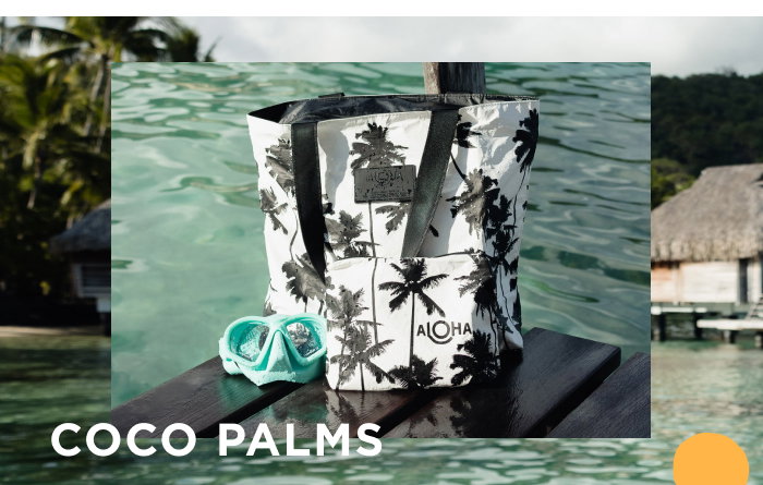 coco palms