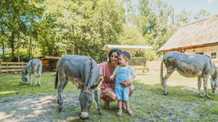 Vakantiepark Dierenbos