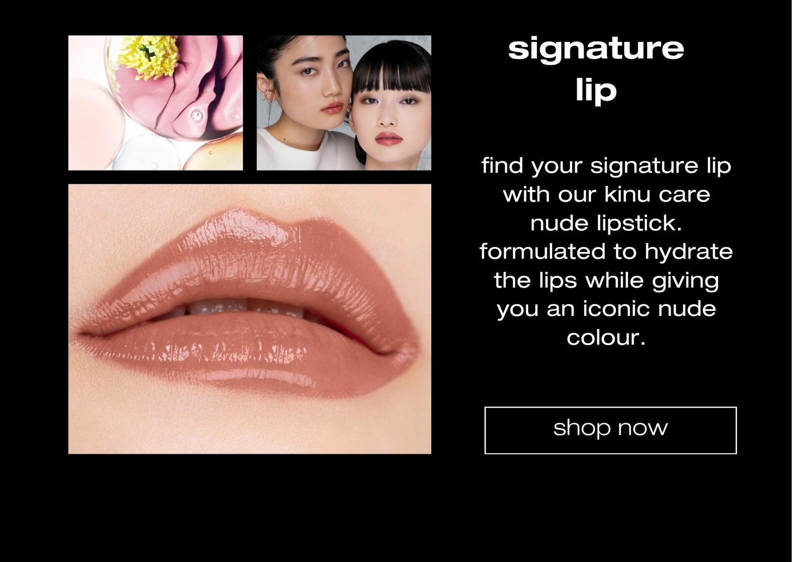 shop now