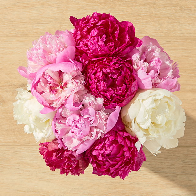 Farmer's Choice Peonies Bouq