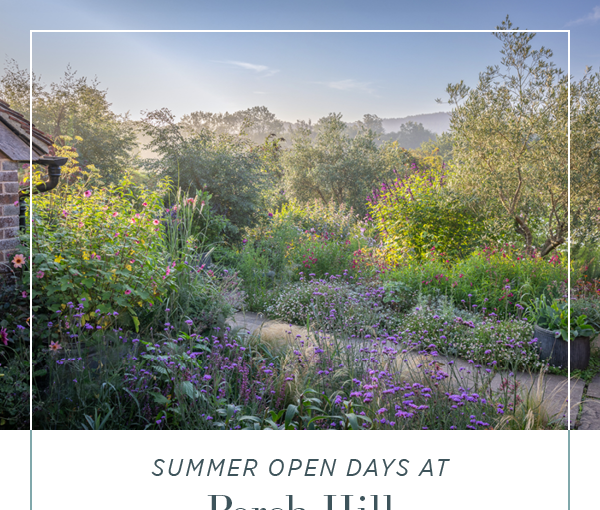 Summer Open Days at Perch Hill. 