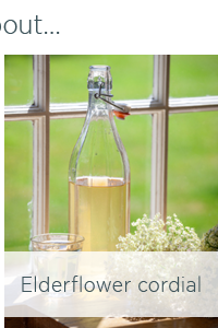 Elderflower cordial recipe