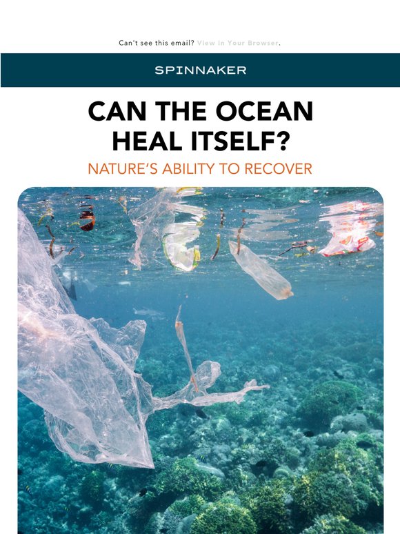 🦈 Can the Ocean Heal Itself? 🐢