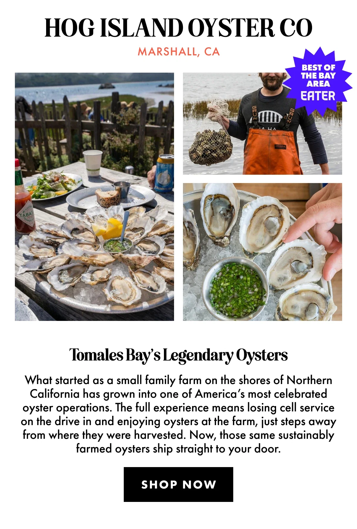 Hog Island Oyster Co.