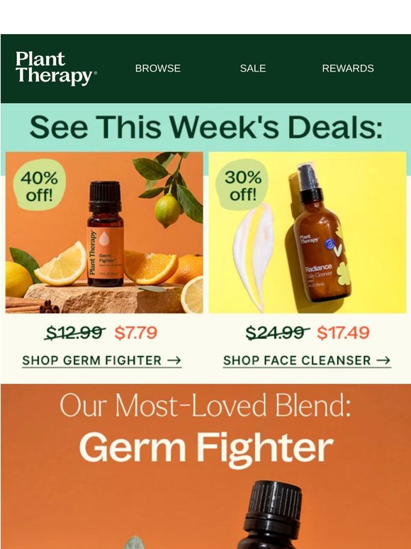 Our Most-Loved Blend: 40% Off >>