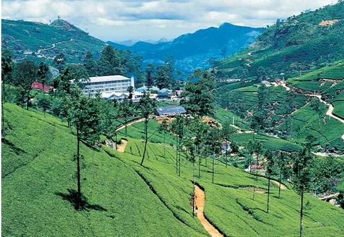 Discover Sri Lanka