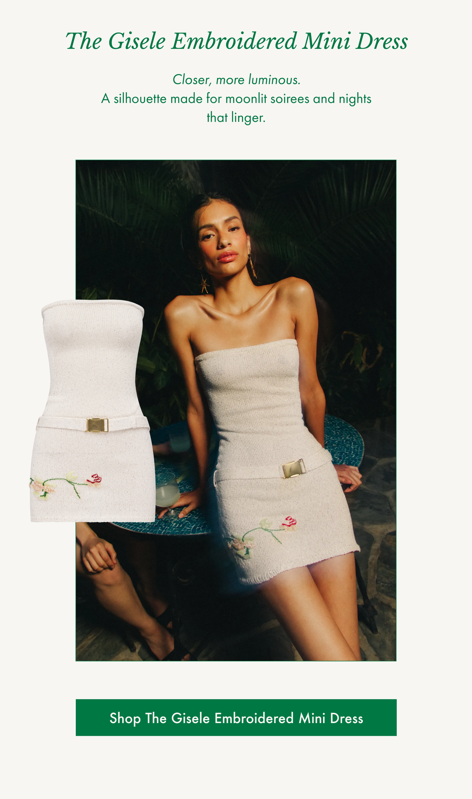 The Gisele Embroidered Mini Dress