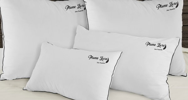 Oreillers ''100 % Plumes'' broderie luxe, Sampur