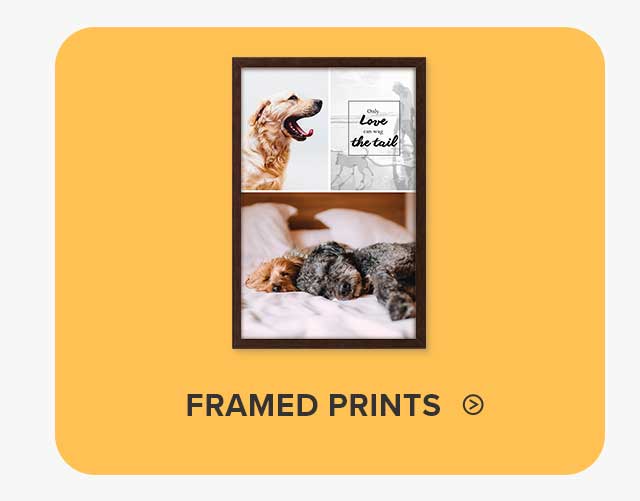 Framed Prints