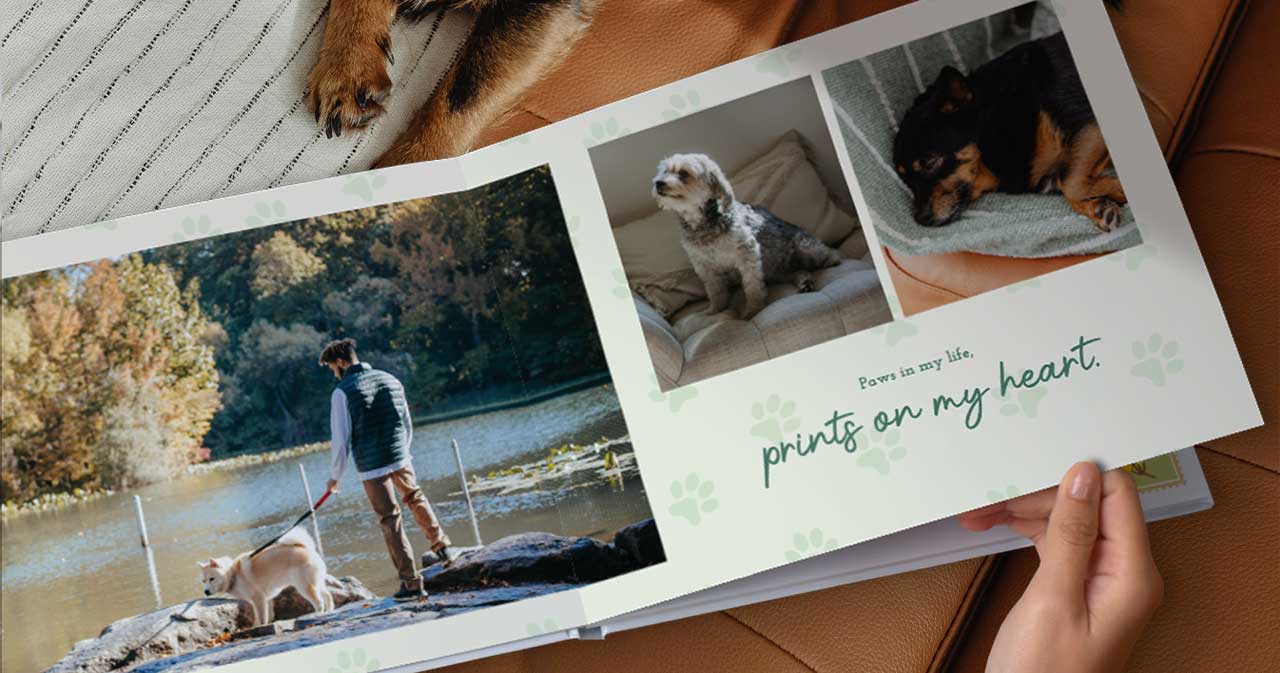 A Personalised Pet Photobook
