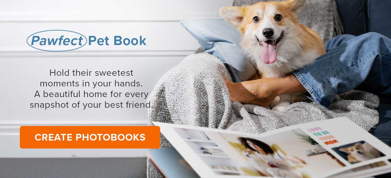 Pawfect Pet Book | Create Photobooks