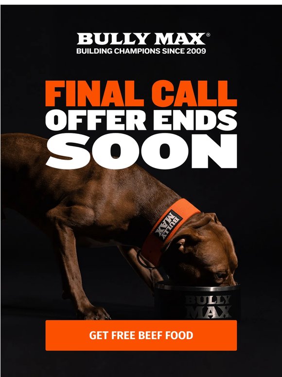 Last Chance: Buy 1, Get 1 FREE