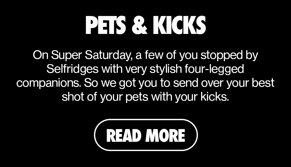 PETS AND KICKS