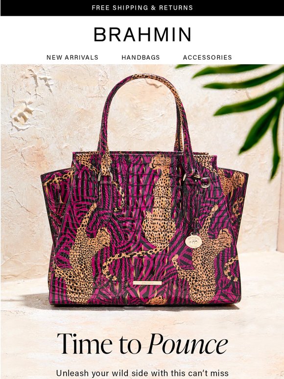 GO WILD with Pounce 🐆