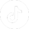 Tik Tok icon