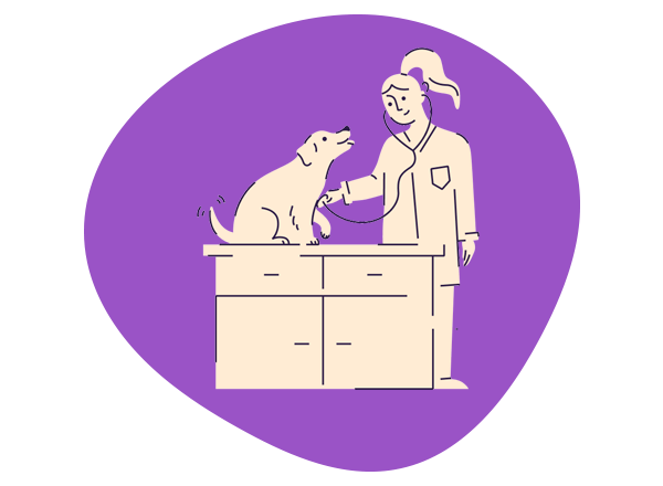 How to Break the Flea Life Cycle