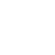 USP Icon 6