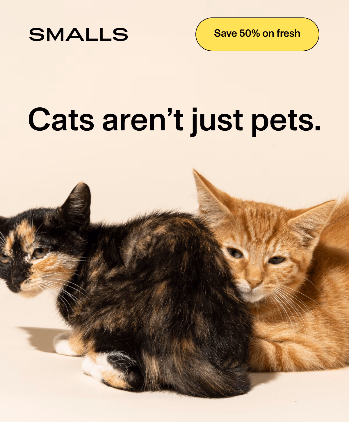 Smalls: Two adorable kittens snuggling next to the text 'Cats aren’t just pets' and a 'Save 50% on fresh' button
