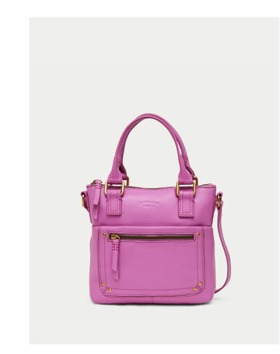Jamestown Mini Tote Crossbody