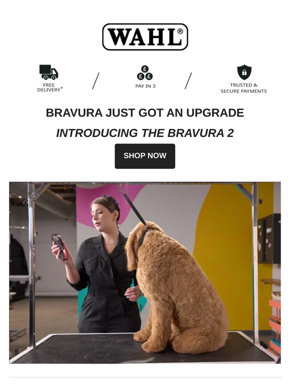 Bravura Just Got The Ultimate Upgrade