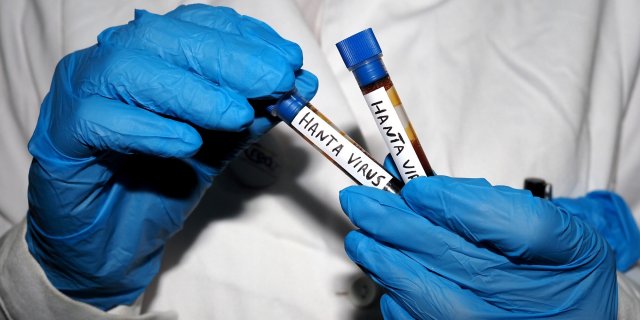 hantavirus premier cas France