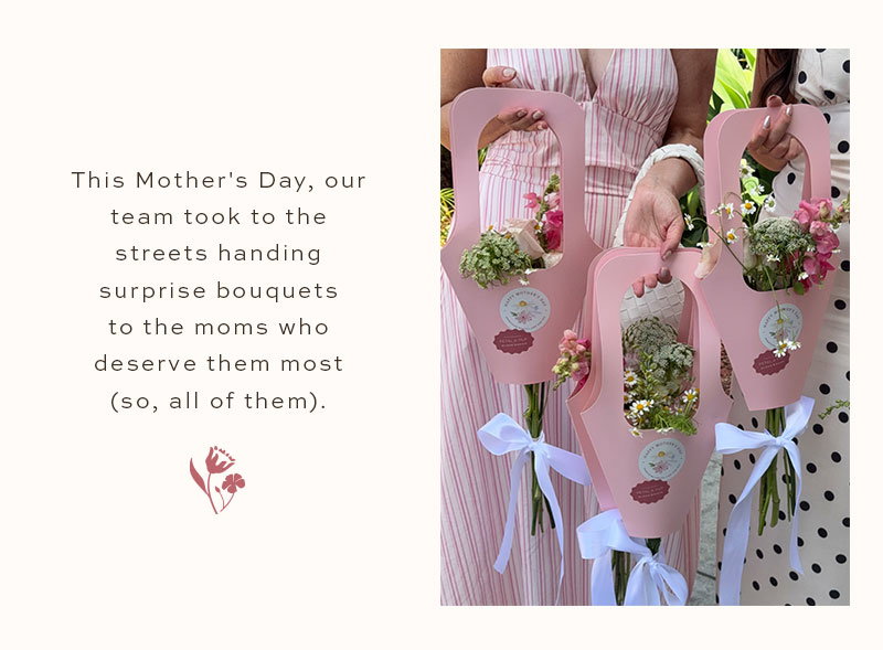 Visit Petal & Pup