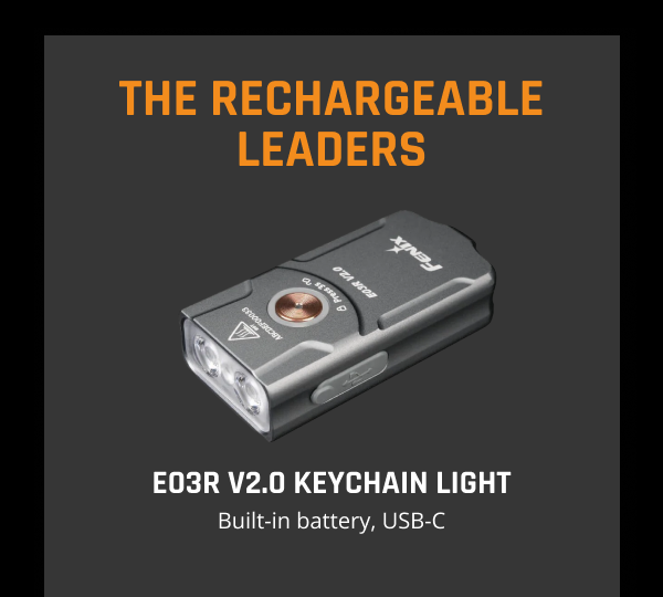 THE RECHARGEABLES