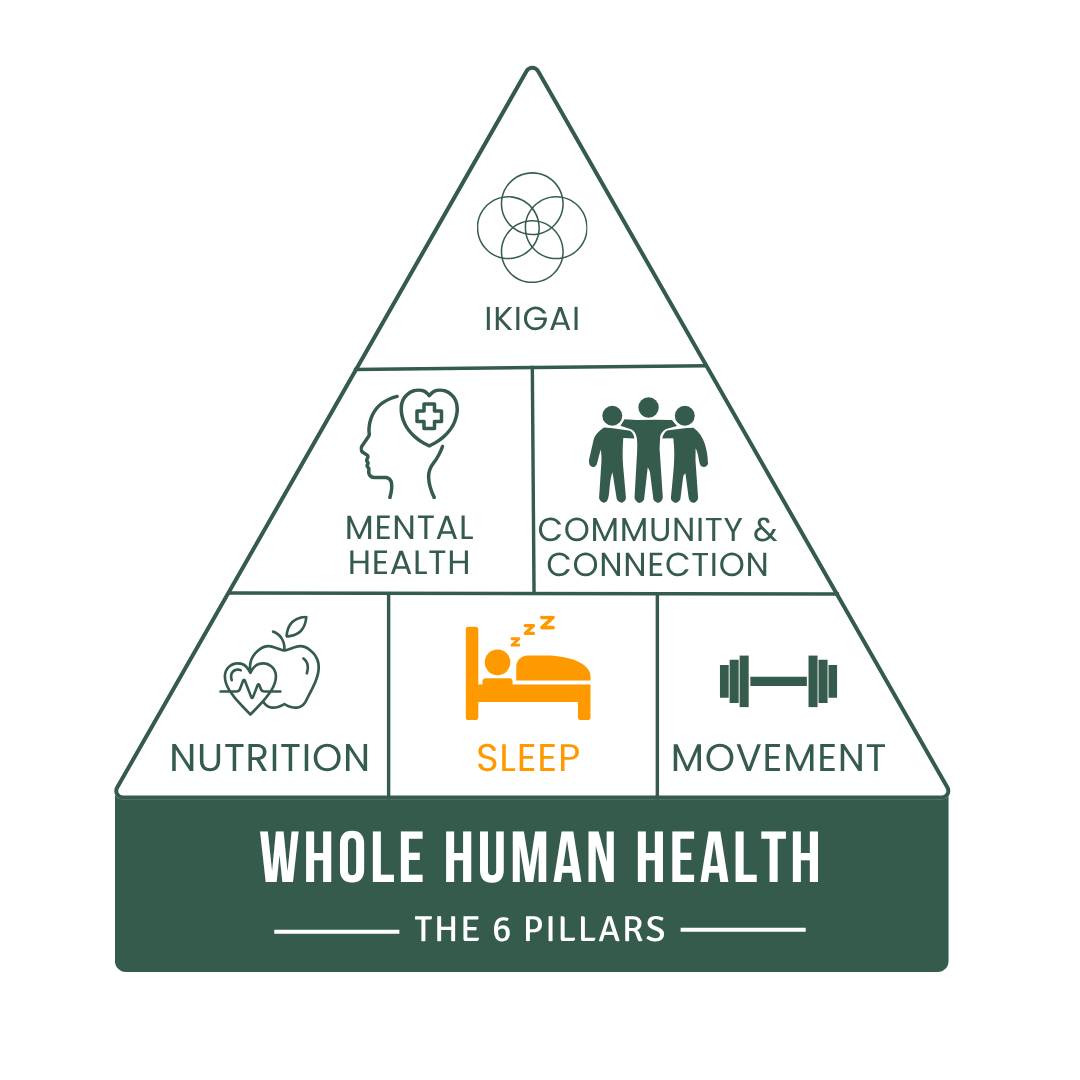 Pillars of Whole Human Health 