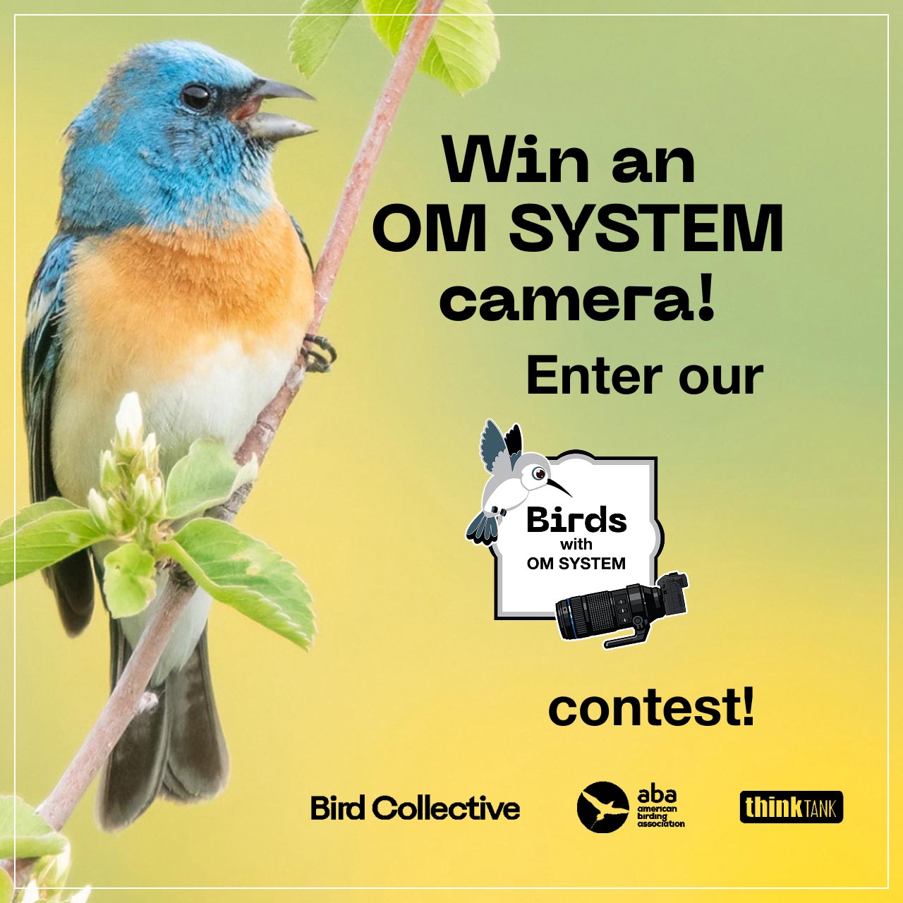 Enter our Birds with OM SYSTEM Photo Contest