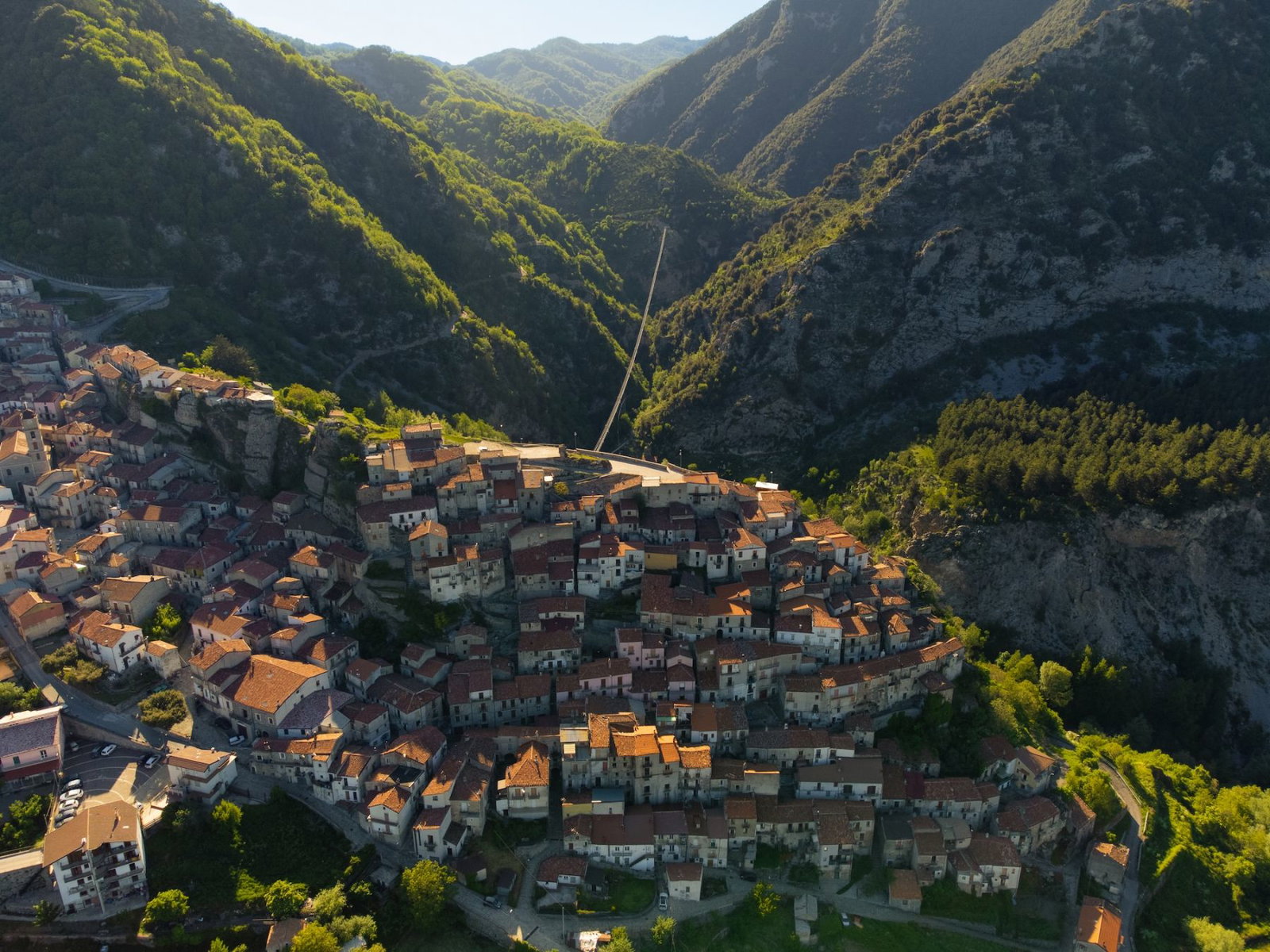 Festa della 'Ndenna: il rito arboreo più antico della Basilicata
