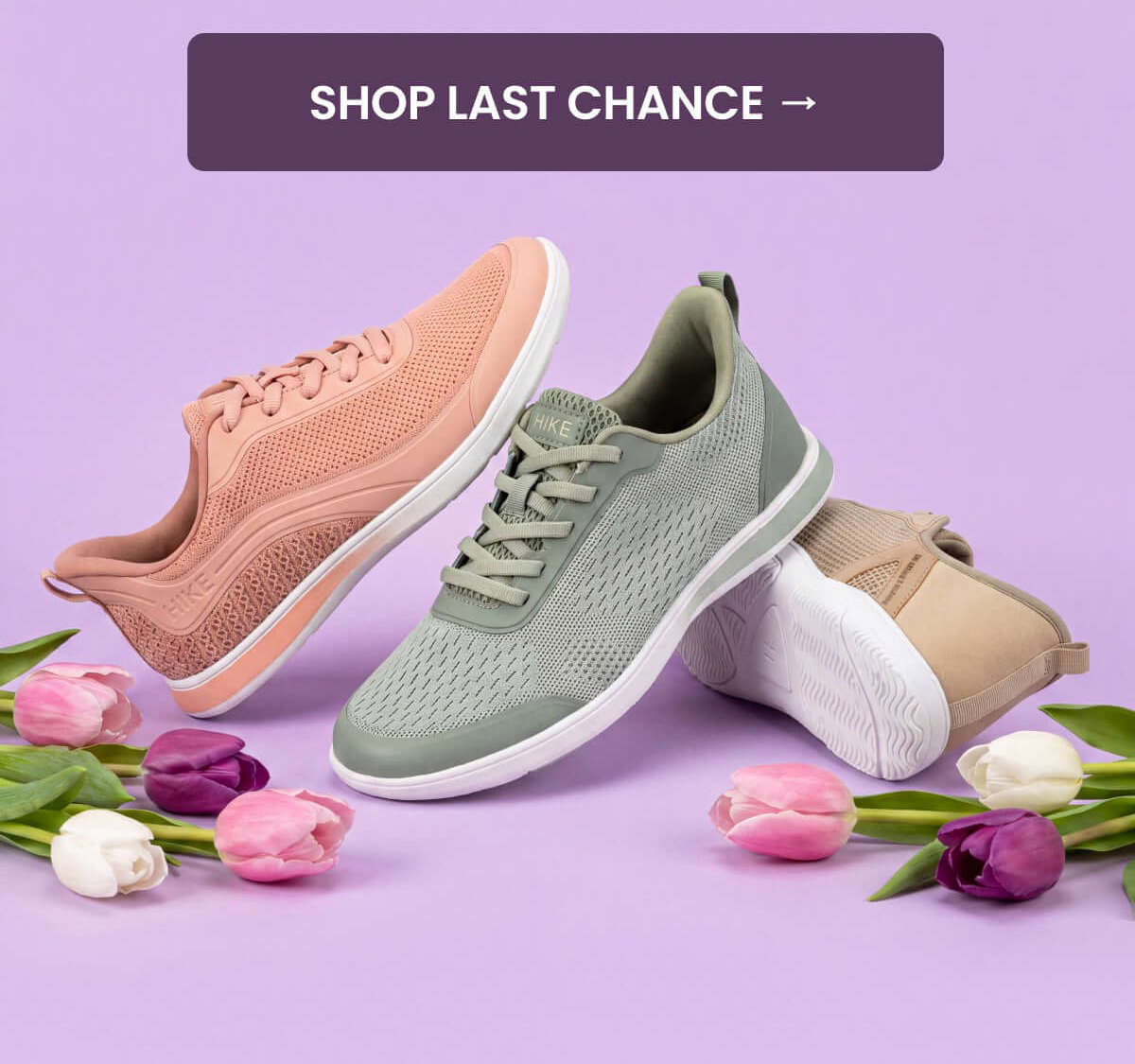 SHOP LAST CHANCE →