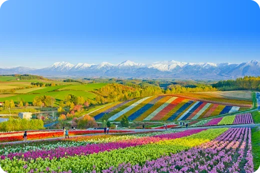 WWT_Newsletter_EDM_6