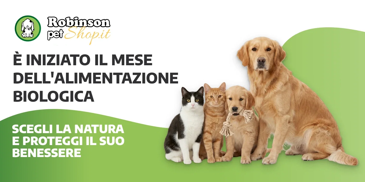 Robinson Pet Shop banner showing two cats and two golden retrievers promoting organic pet food month and natural pet wellbeing