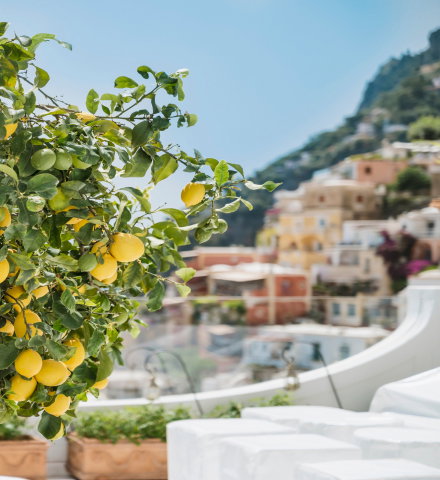 Amalfi Lemon Edit Collection