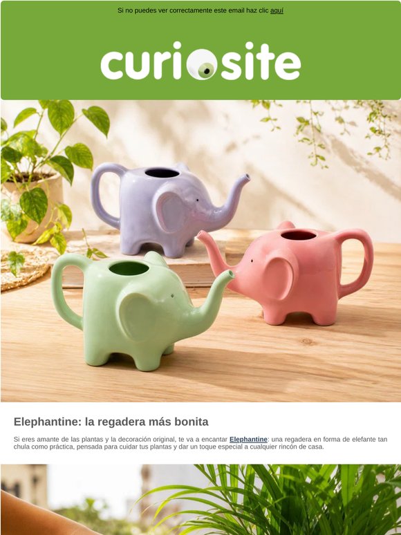 Elephantine: la regadera más bonita 🐘💦🪴