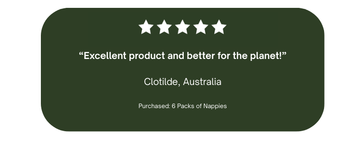 Review of Ecoriginals Nappies