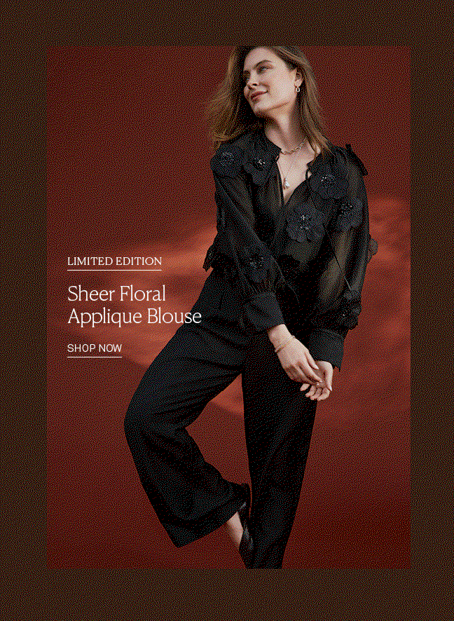 Sheer Floral Applique Blouse