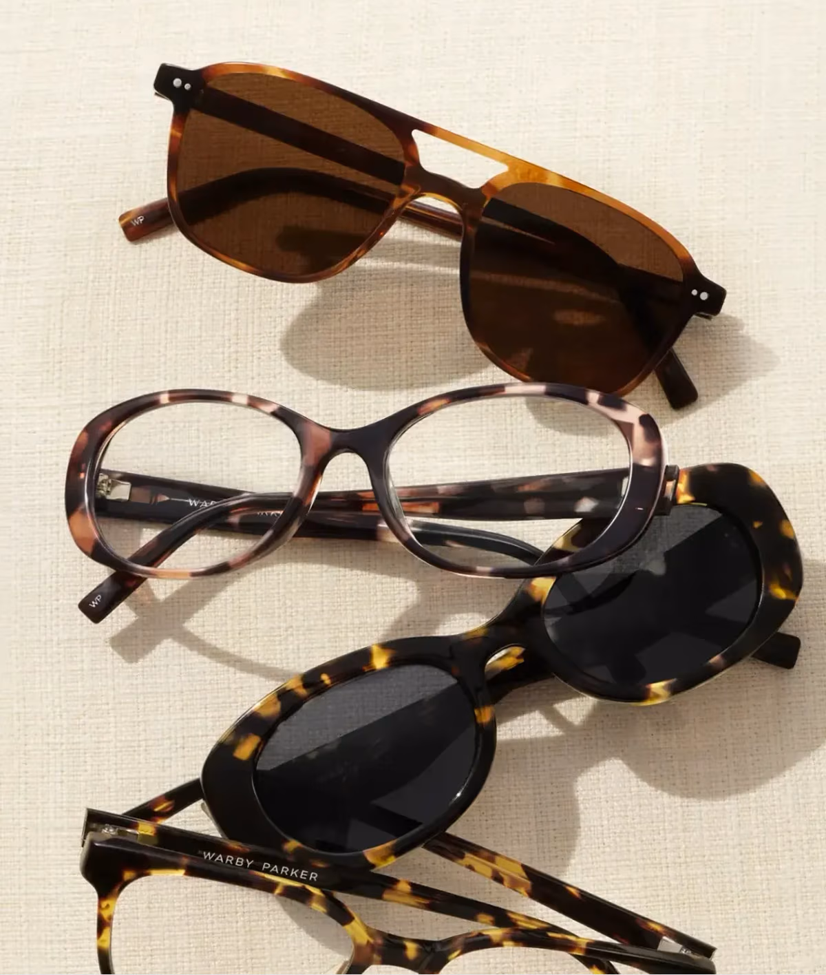 Tortoise Frames