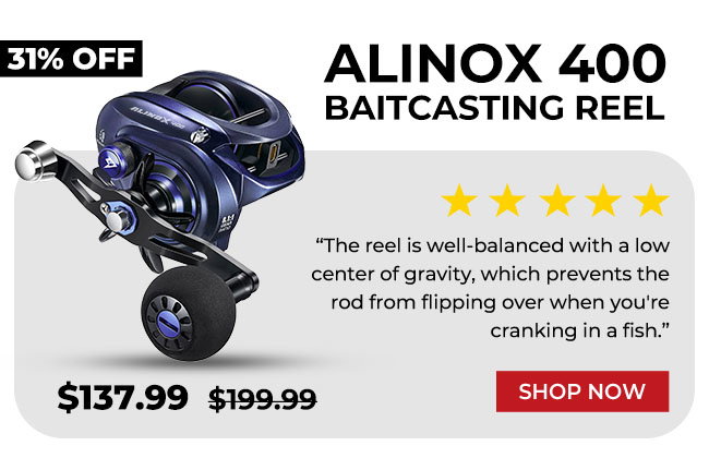 AlinoX 400 Saltwater Freshwater Baitcasting Reel With Bait Clicker