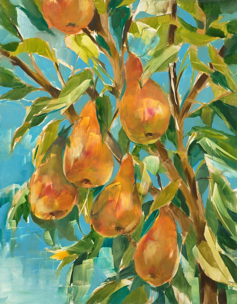 In A Pear Tree by Liz Jardine