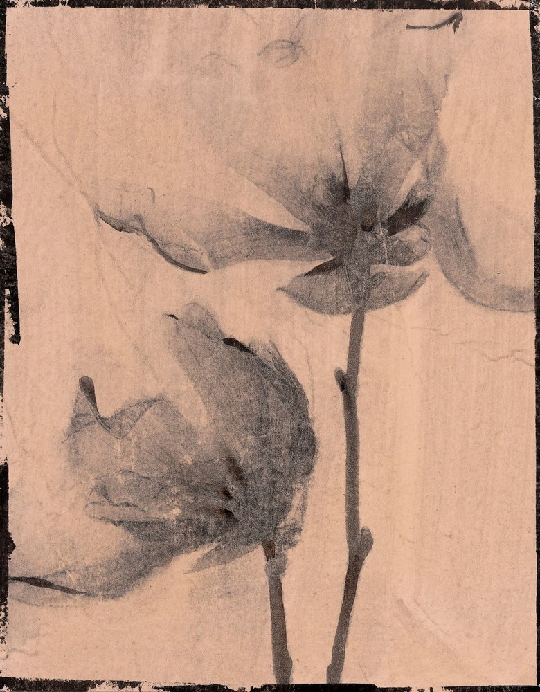 Silk Botanicals I by Liz Jardine