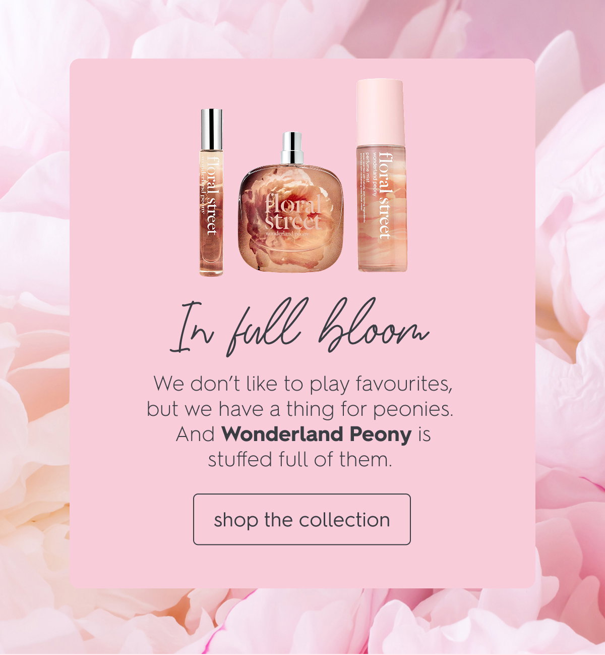 In full bloom